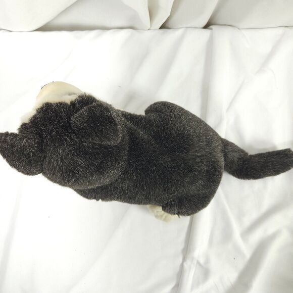 Dakin Applause Lou Rankin Friends Realistic Siberian Husky Plush Animal - Picture 3 of 10